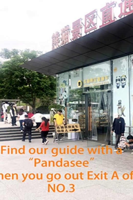 Chengdu panda base half day tour - Key points to know before you book