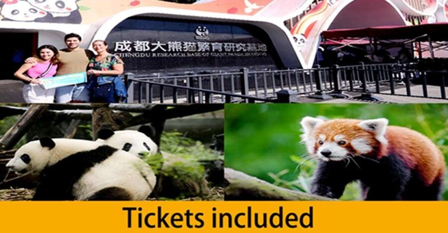 Chengdu panda base half day tour - Entering with a ticket already arranged