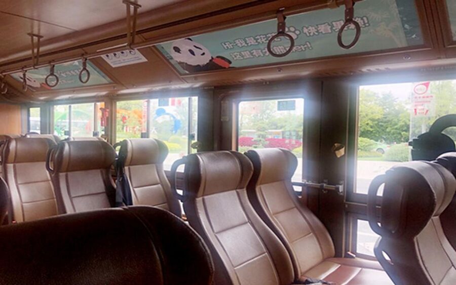 Chengdu panda base half day tour - A route built around active pandas