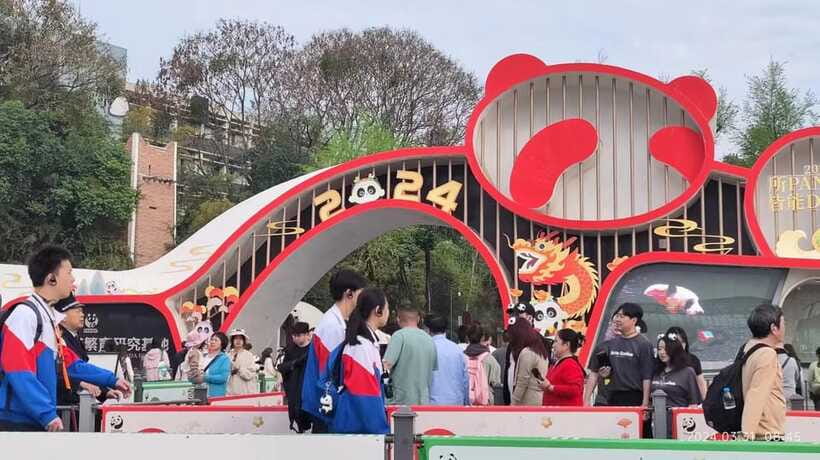 Chengdu: Panda Breeding Base Tickets Booking - Is the $19 Ticket Good Value?