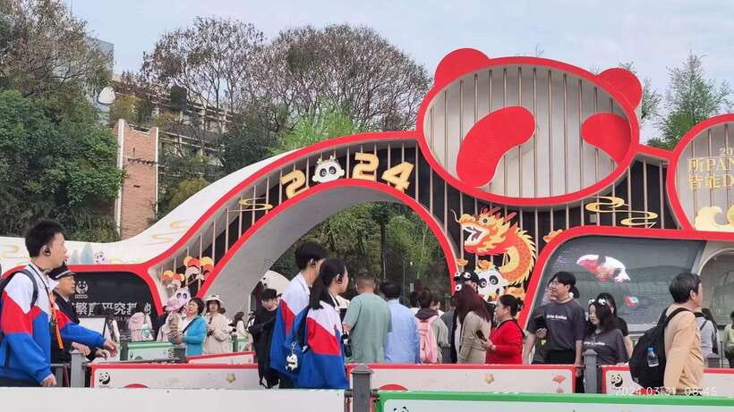 Chengdu: Panda Breeding Base Tickets Booking - Reaching the Base From Central Chengdu