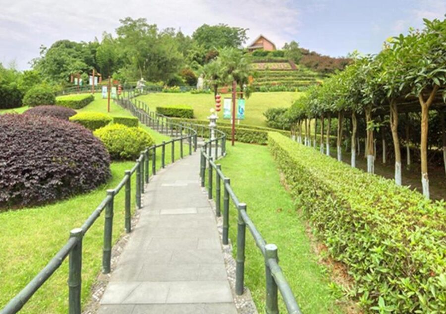 Chengdu panda & Leshan Buddha One Day Private Tour - Key points at a glance