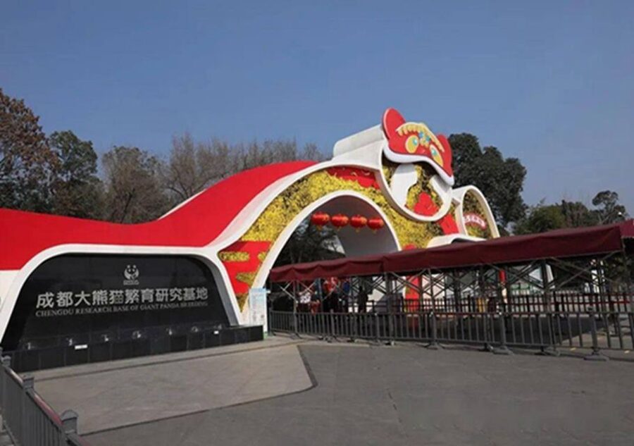 Chengdu panda & Leshan Buddha One Day Private Tour - Starting at Chengdu Panda Base