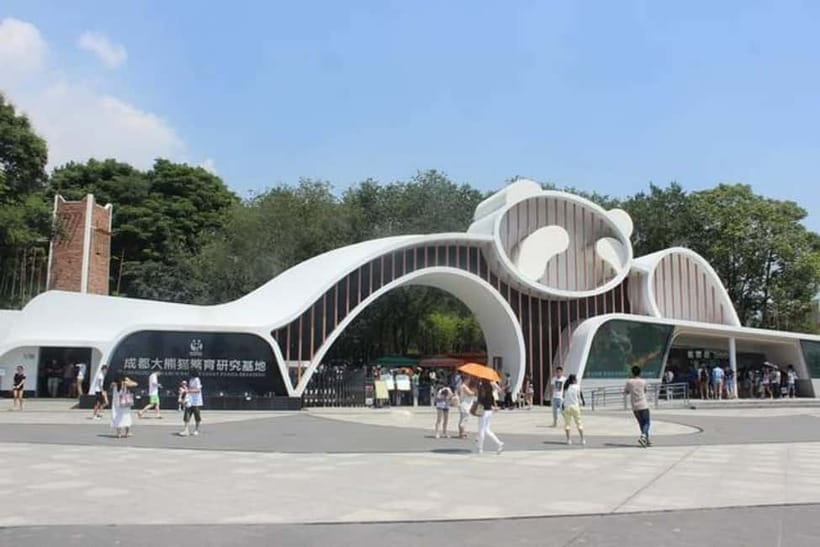 Chengdu: Panda Research Base Ticket or Volunteer Day Trip - Key points at a glance