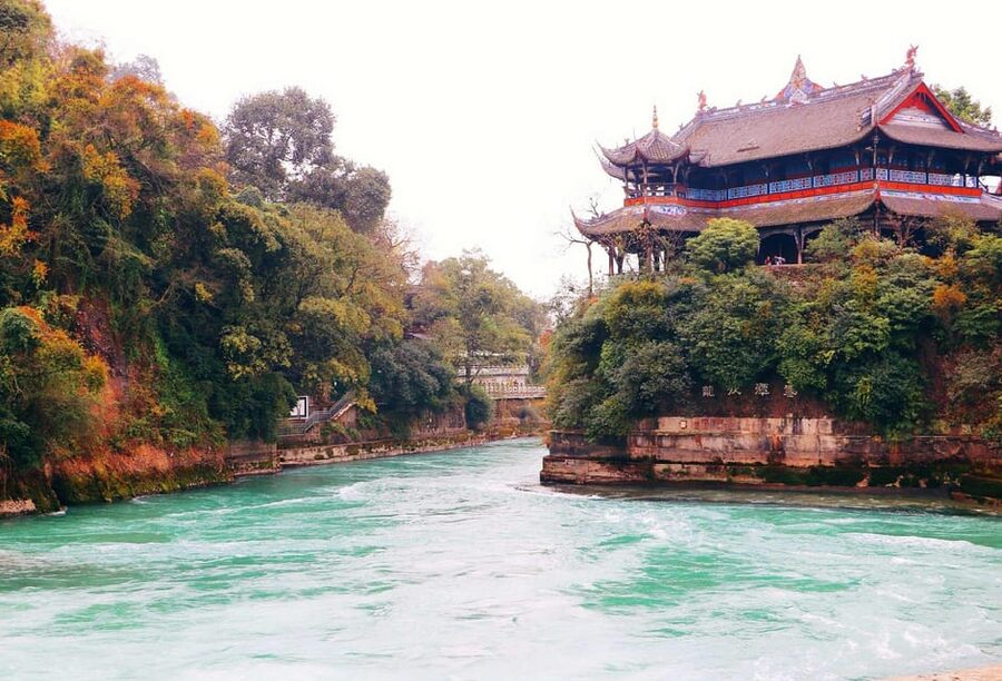 Chengdu: Panda Research Base Ticket or Volunteer Day Trip - Crowds, noise, and the best pace