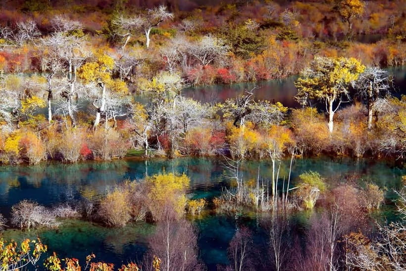 Chengdu: private 2-Day Huanglong Jiuzhaigou tour by train - What the $541 price covers