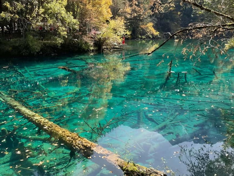 Chengdu: private 2-Day Huanglong Jiuzhaigou tour by train - Who should book this trip?