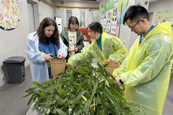 Chengdu: Volunteer Day Experience at Dujiangyan Panda base - Why the feeding session is the main event