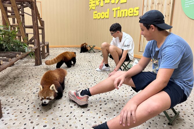 Chengdu: Volunteer Day Experience at Dujiangyan Panda base - Lunch in the canteen
