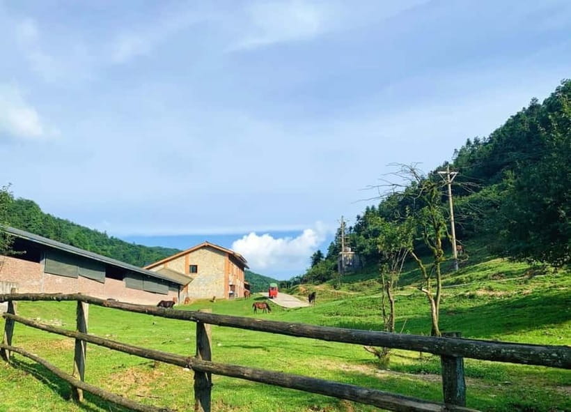 Chongqing One-Day Trip: Wulong's 3 Essentials - Guides, Drivers, and the Private Group Advantage