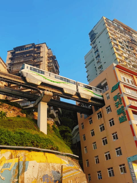 Chongqing Private City Tour: Must-Sees All-in-One - The guide can make or break the day