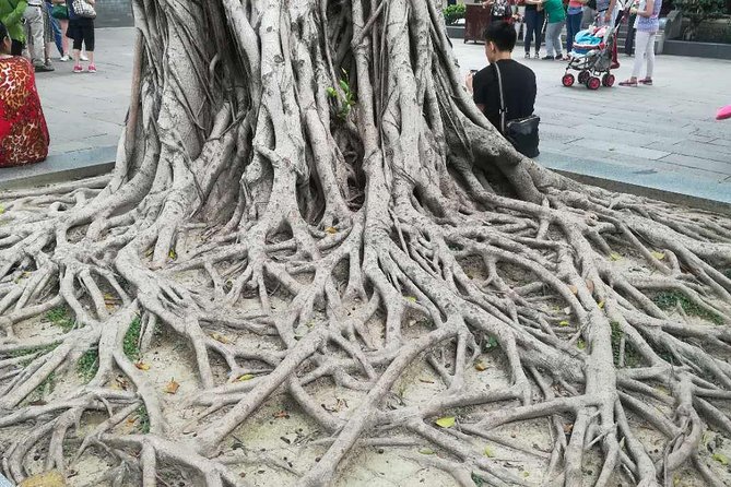 Customised Private Guangzhou City Tour with Flexible Itinerary - Huacheng Square and the modern city