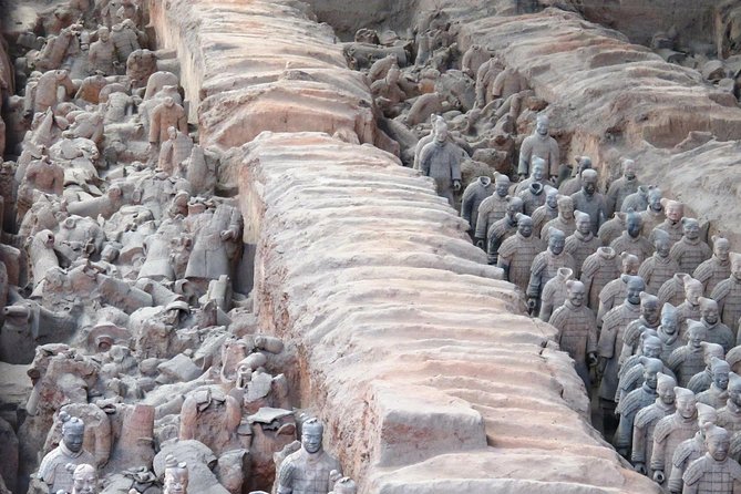 Customized Private Day Tour of Terracotta Warriors and Xi'an - Xi’an City Wall: the best choice for broad city views