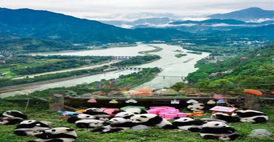 Dujiangyan panda base and irrigation system park day tour - Key points at a glance