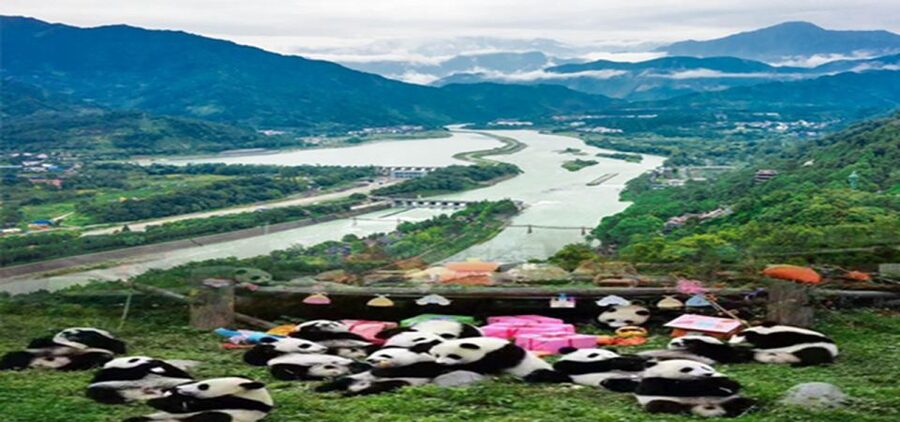 Dujiangyan panda base and irrigation system park day tour - Guides, language, and personal service