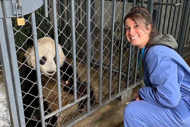 Dujiangyan Panda Volunteering Experience with Lunch - The 7:00 am pickup from Chengdu