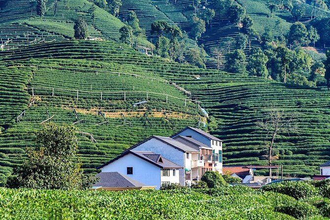 Flexible Hangzhou Private Tour from Shanghai by Bullet Train - The bullet train from Shanghai Hongqiao