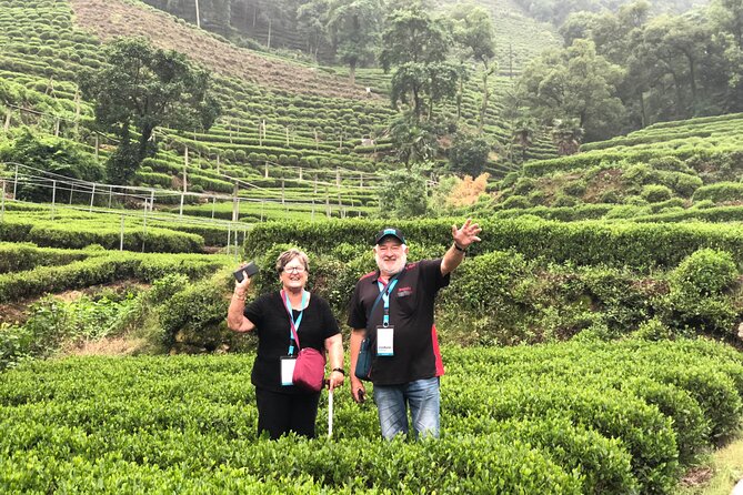 Flexible Hangzhou Private Tour from Shanghai by Bullet Train - My verdict on the Hangzhou experience