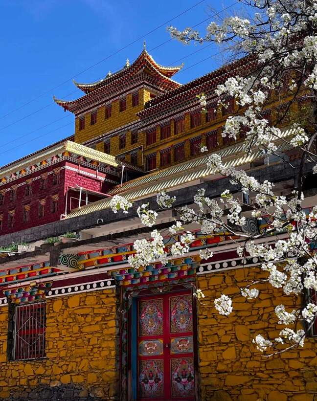 From Chengdu: Tibetan Village Live as a Tibetan Day Tour - What the guide and private format change