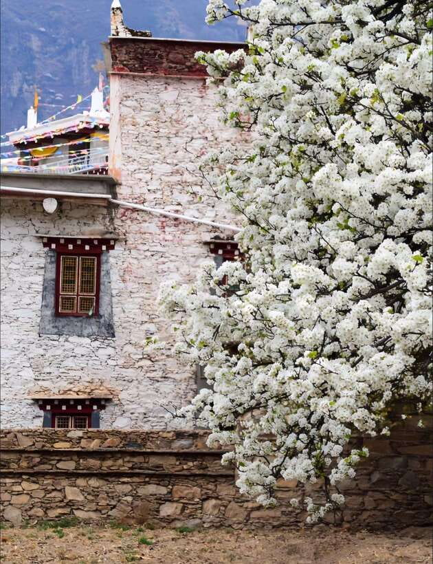 From Chengdu: Tibetan Village Live as a Tibetan Day Tour - Timing, comfort, and practical planning