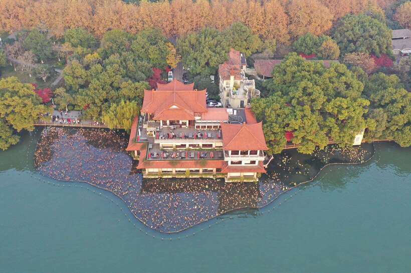 From Shanghai: Hangzhou Private Day Trip by Bullet Train - Who should book this Hangzhou day trip?