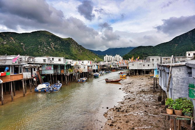 Full-Day Private Tour of Lantau Island including Big Buddha and Tai O - What the private guide adds