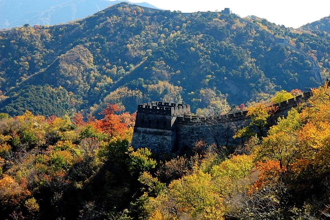 Great Wall of China at Mutianyu Full-Day Tour Including Lunch from Beijing - Who should book this tour