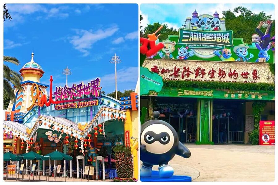 Guangzhou Chimelong: Safari Park/Paradise（Optional Day Tour） - Safari Park: pandas, tigers, and long walking routes