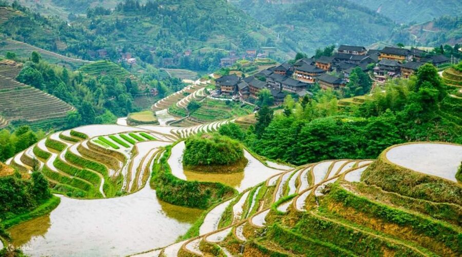 Guilin: 3-Day Private Tour with Longsheng&Cruise to Yangshuo - Transport, group size, and physical effort