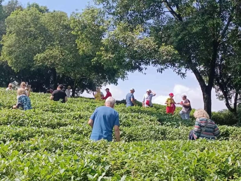 Guilin: City Tour with Elephant Hill & Ming Tea Tasting - Elephant Trunk Hill and the Li River view