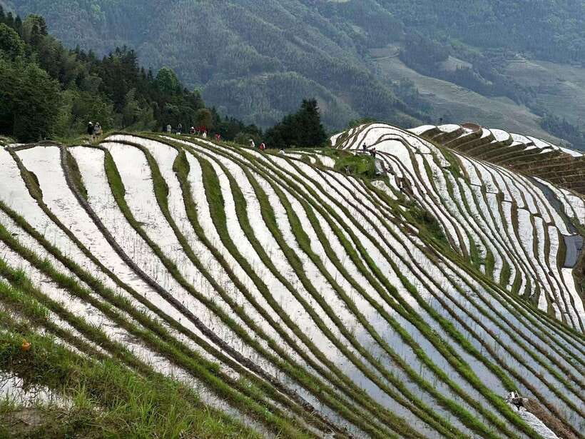 Guilin: Day tour of Longji Rice Terraces and Yangshuo - What the $195 price really covers