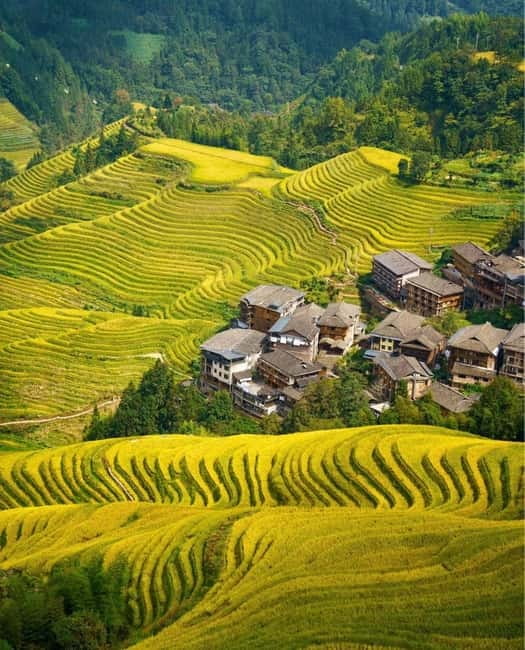 Guilin Longji: Rice Terrace with Oil-Tea Demo & Zhuang Lunch - Key points at a glance
