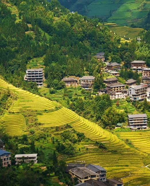 Guilin Longji: Rice Terrace with Oil-Tea Demo & Zhuang Lunch - Why this Longji day feels different