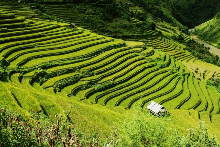 Guilin Longji Terraces Private Day Tour - Why Longji is worth a full day from Guilin