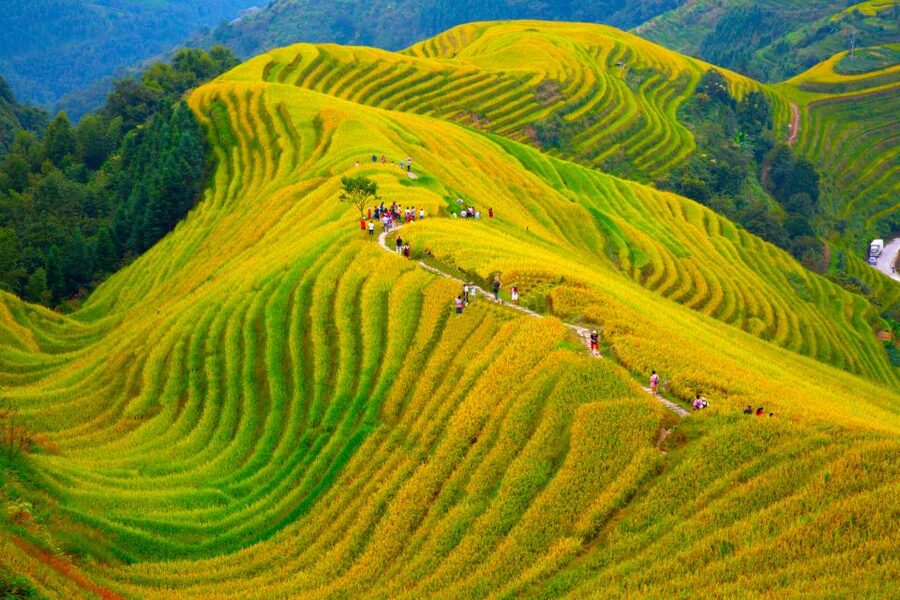 Guilin Longji Terraces Private Day Tour - Huangluo village and the Yao long-hair performance