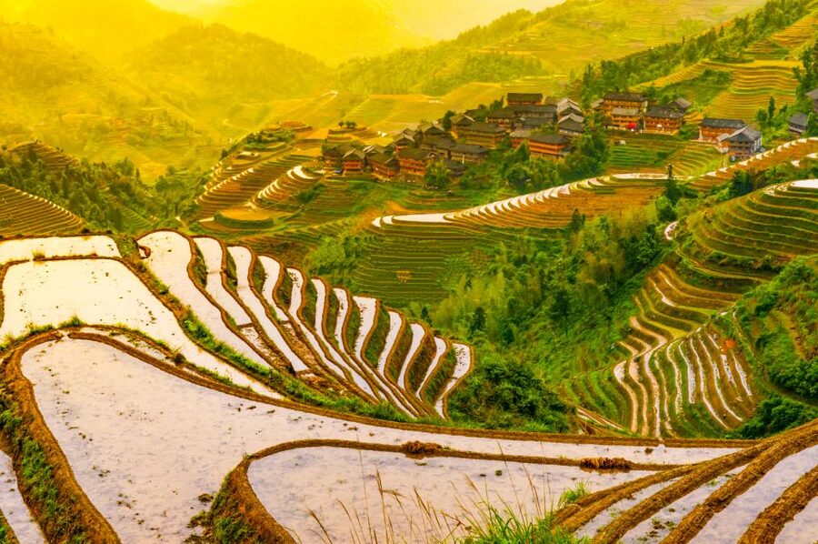 Guilin Longji Terraces Private Day Tour - The main event: four hours among the rice terraces