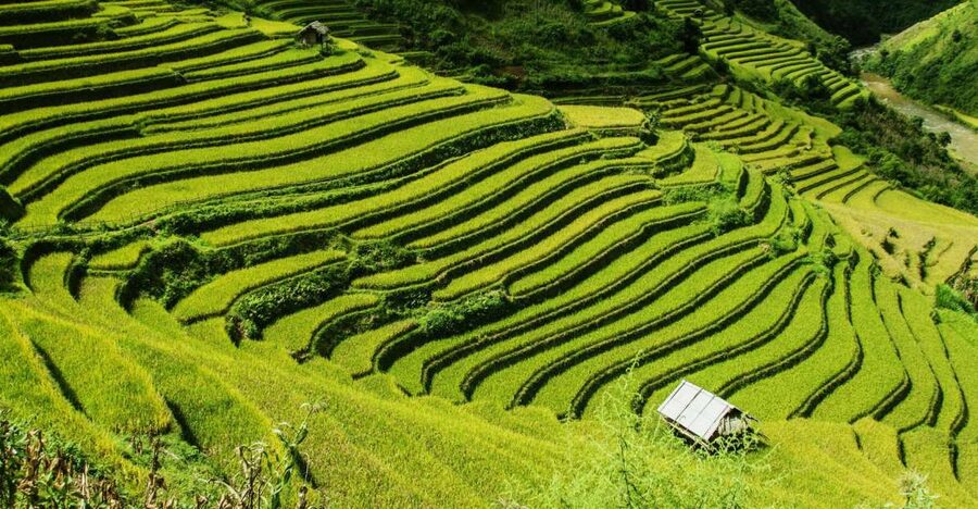 Guilin Longji Terraces Private Day Tour - The two-hour drive into the hills