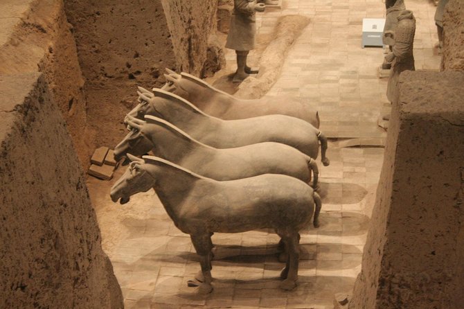 Half-Day Mini Group Xian Tour to Terracotta Warriors Museum - Finishing near the Big Wild Goose Pagoda