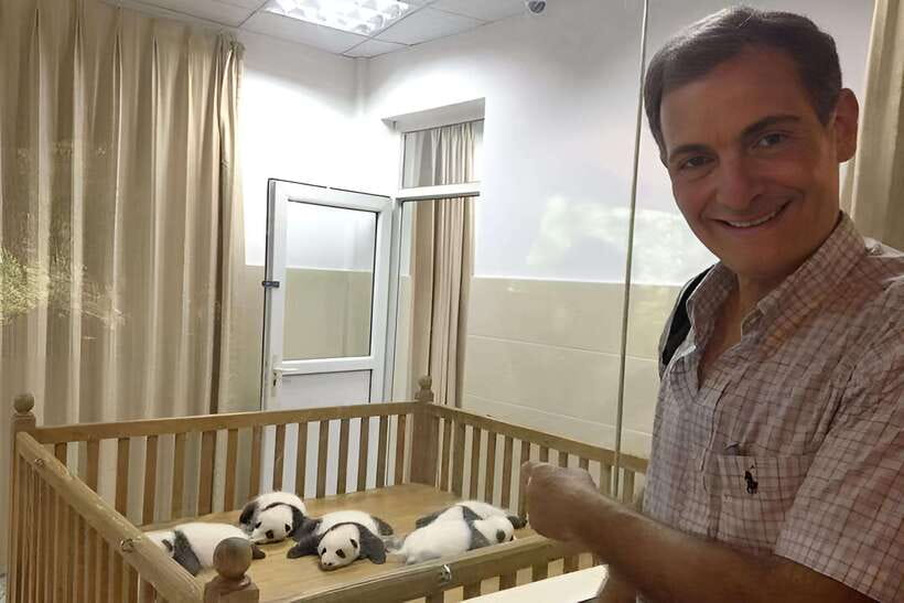 Half day small group tour to Chengdu Panda Breeding Center - Why this Chengdu panda visit works well in half a day