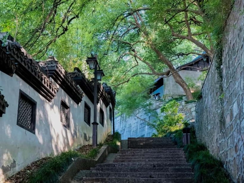 Hangzhou Insider Mini-Hike: TCM, Hill Views and Wet Market - Key points to know before booking