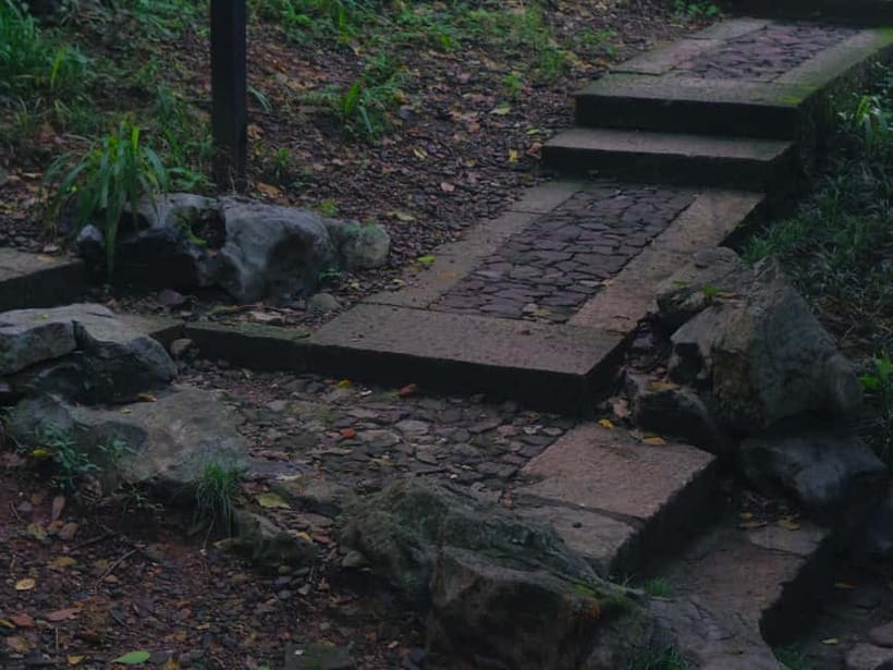 Hangzhou Insider Mini-Hike: TCM, Hill Views and Wet Market - Climbing Wu Shan Hill through temples and legends