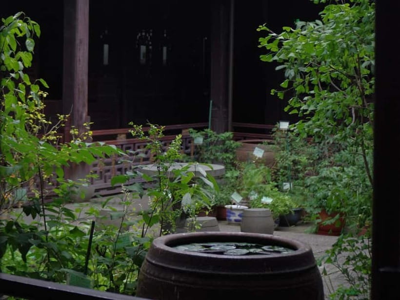 Hangzhou Insider Mini-Hike: TCM, Hill Views and Wet Market - Should you book it?