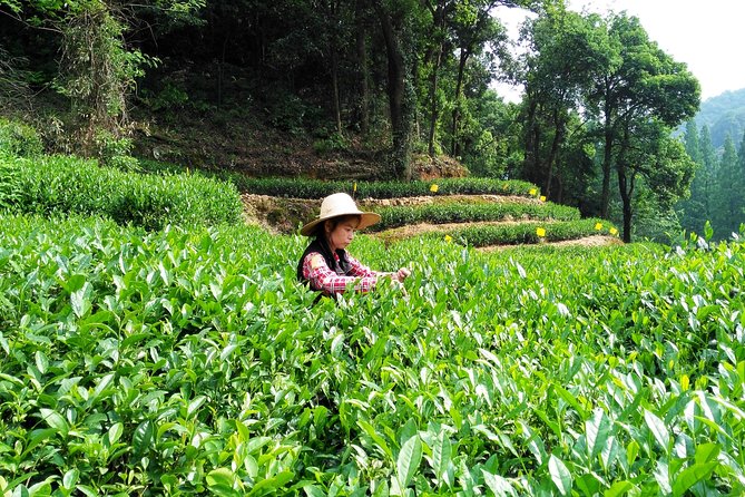Hangzhou Private Customized Day Trip from Shanghai by Bullet Train - Why Hangzhou makes a strong day trip from Shanghai