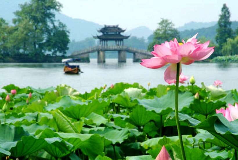 Hangzhou Private One Day Trip from Shanghai by Bullet Train - West Lake is the scenic center of the afternoon