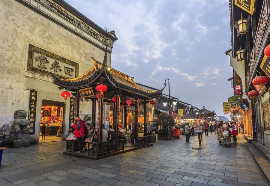 Hangzhou Private One Day Trip from Shanghai by Bullet Train - What the private guide adds
