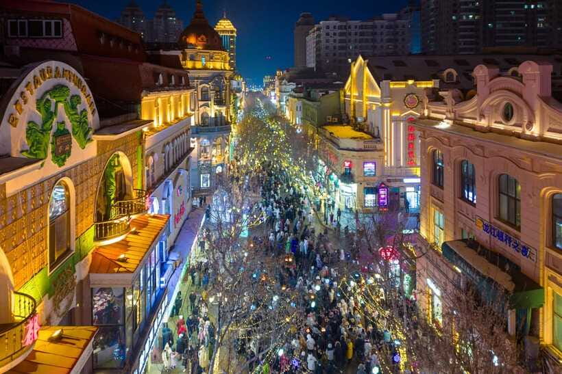 Harbin Ice and Snow Fairyland Private Day Tour - What the private car and guide add