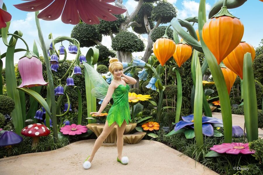 Hong Kong Disneyland Park Tickets - Thrills for adults and older children