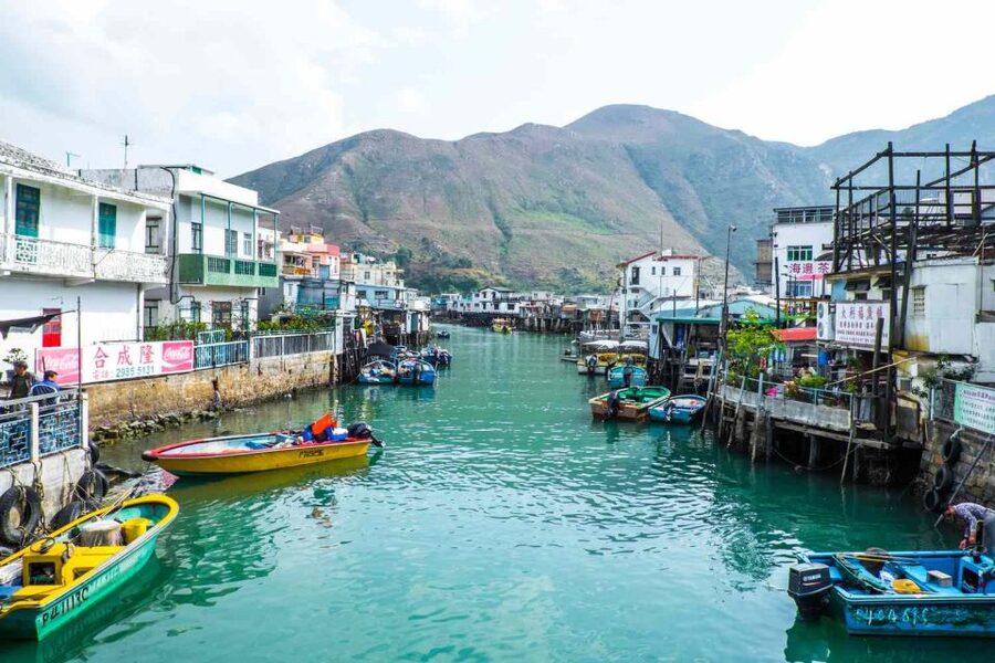 Dolphin Cruise, Big Buddha & Lantau Island Tour