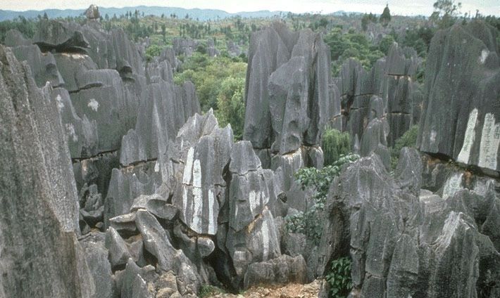 Kunming: Stone Forest Private Day Tour - Why the Stone Forest makes a worthwhile day from Kunming