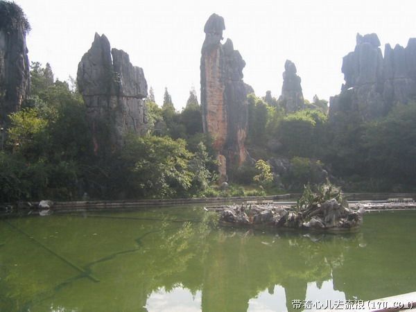 Kunming: Stone Forest Private Day Tour - Who should book the Stone Forest private tour